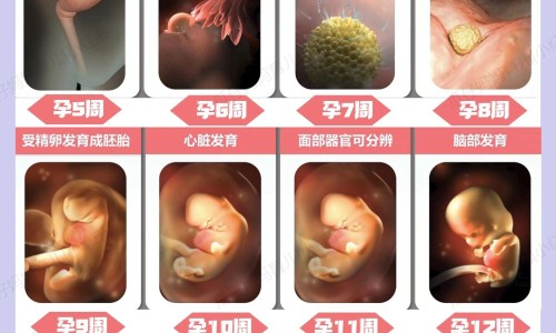 凉面和西瓜食物中毒网吃西瓜能吃凉粉吗知识网站,分享西瓜凉面条的图片大全